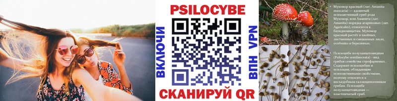 Псилоцибиновые грибы мухоморы Харабали